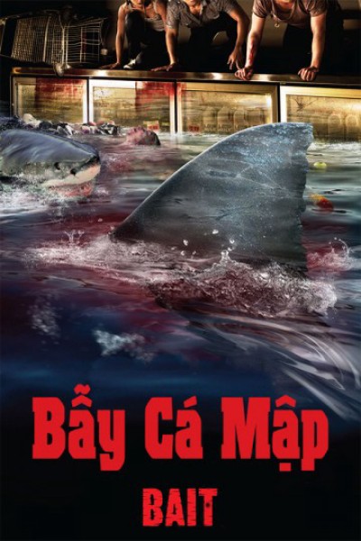 Bẫy Cá Mập 2012