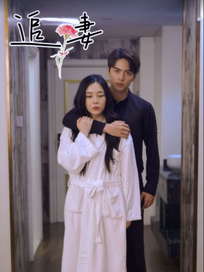 Theo Đuổi Vợ Tôi 2025